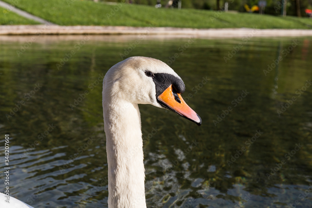 sunset on a lake between mountains of austrian tyrol