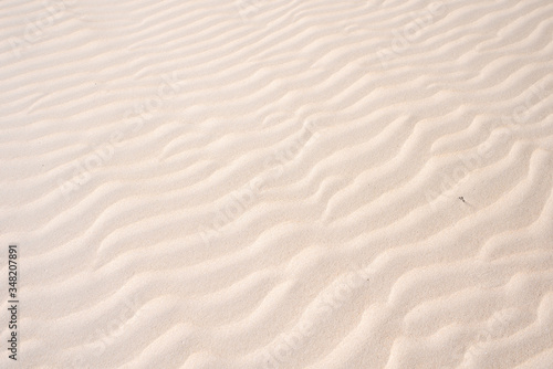 Golden sand in the dune  background of sand in the desert