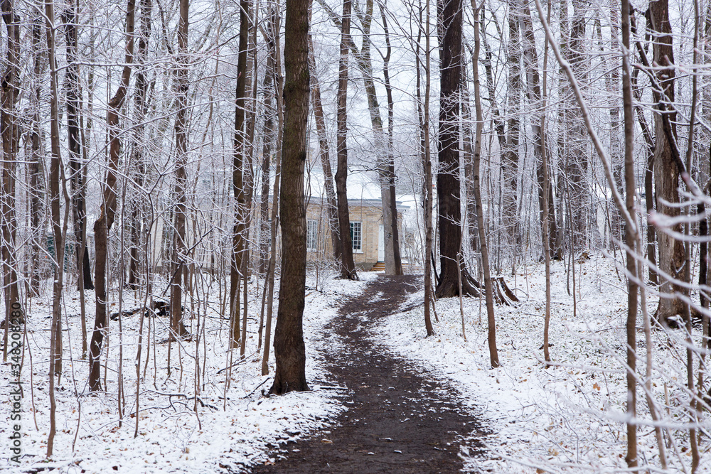 Fototapeta premium Path in wooded area covered in a light late spring fresh snow fall with a small yellow brick cottage in the background, Quebec City, Quebec, Canada