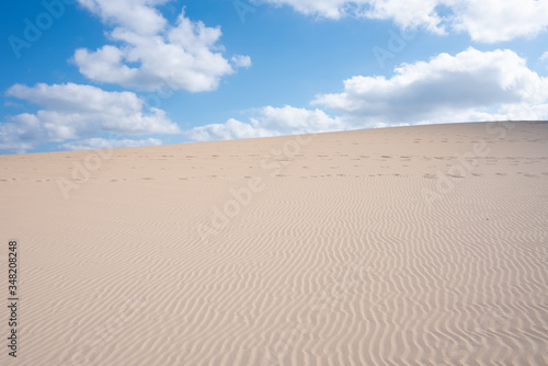Golden sand in the dune, background of sand in the desert
