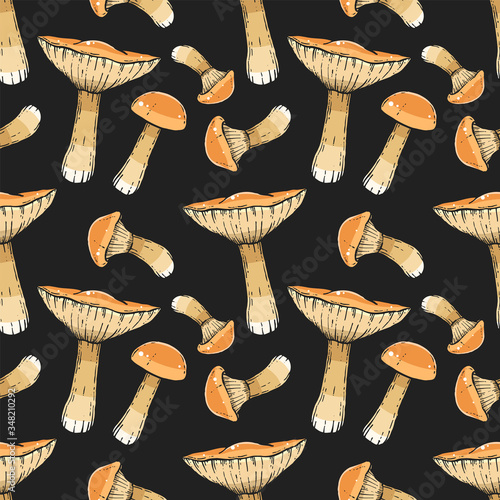 dark boletus pattern on lineart style