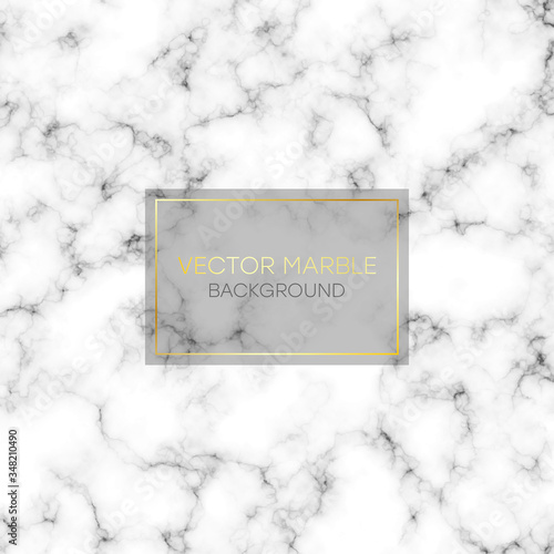 Marble texture. Abstract marbling pattern. Black and white marble background. Vector illustration.
