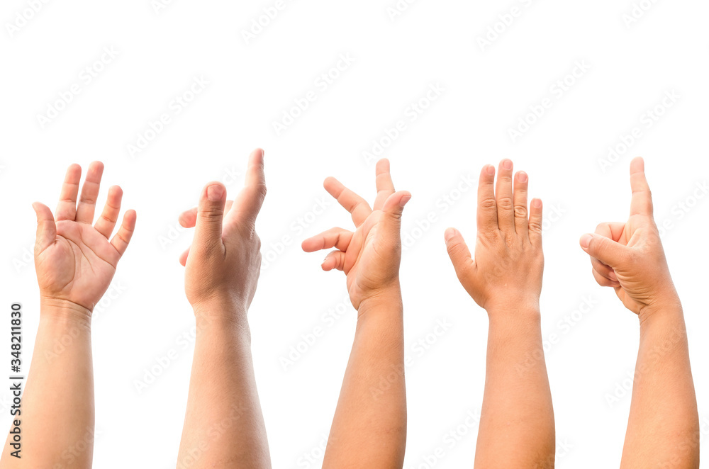 Set of woman hands isolated on white background with clipping path. Set of woman hands isolated on white background with clipping path.