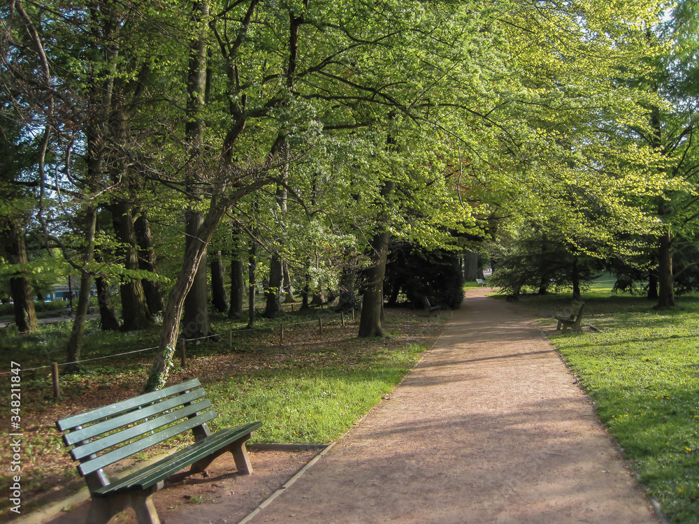 A sunlit path through the Tete d'Or Park A sunlit path through the Tete d'Or Park
