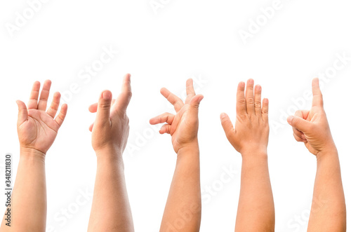 Set of woman hands isolated on white background with clipping path.