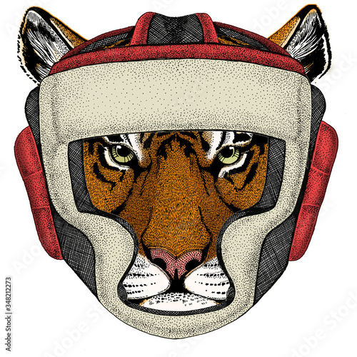 Tiger portrait. Wild cat head. Boxing helmet.