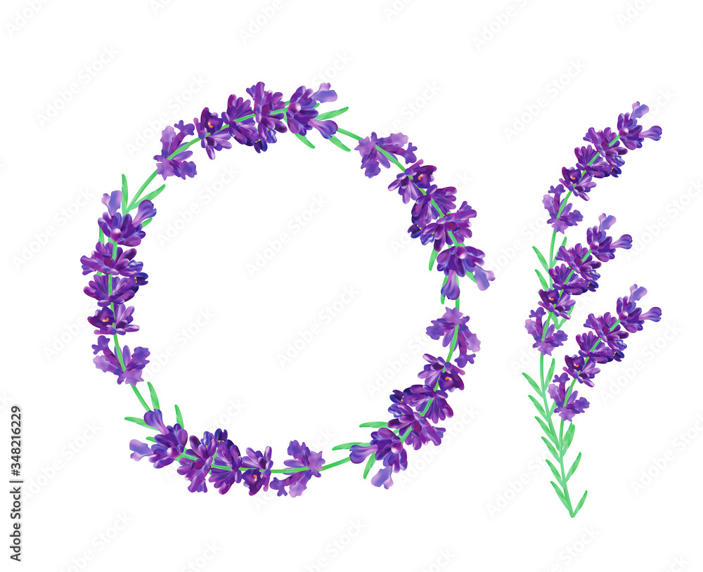 Lavender wreath isolated on transparent background. Bunch beautiful violet flowers.3D realistic lavender with copy space for your text. Fragrant lavender. Beautiful illustration Lavender wreath isolated on transparent background. Bunch beautiful violet flowers.3D realistic lavender with copy space for your text. Fragrant lavender. Beautiful illustration