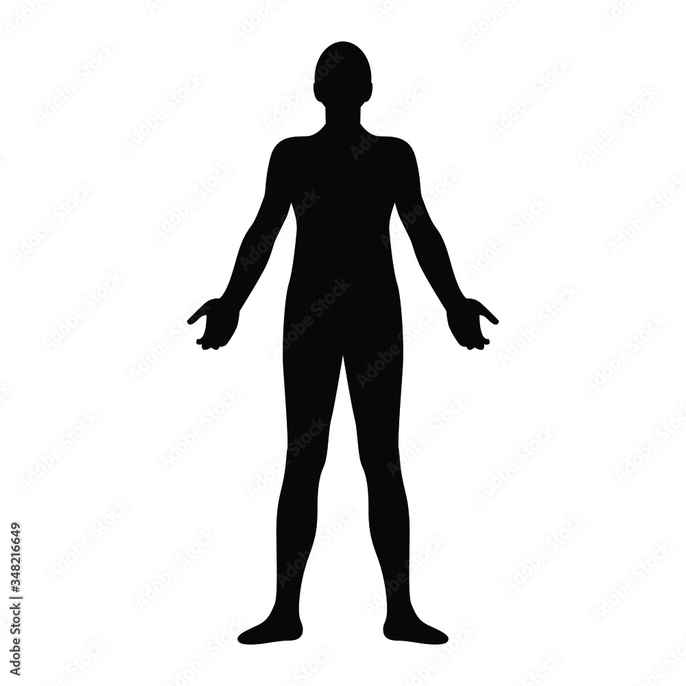 Human body silhouette, vector illustration Human body silhouette, vector illustration