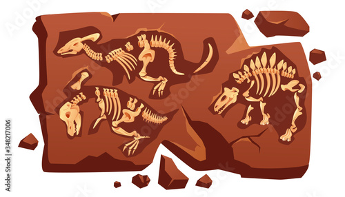 Dinosaur fossil bones, dino skeletons in piece of stone isolated on white background. Old dead prehistoric animals of jurassic ages. Paleontology, archaeology science items Cartoon vector illustration