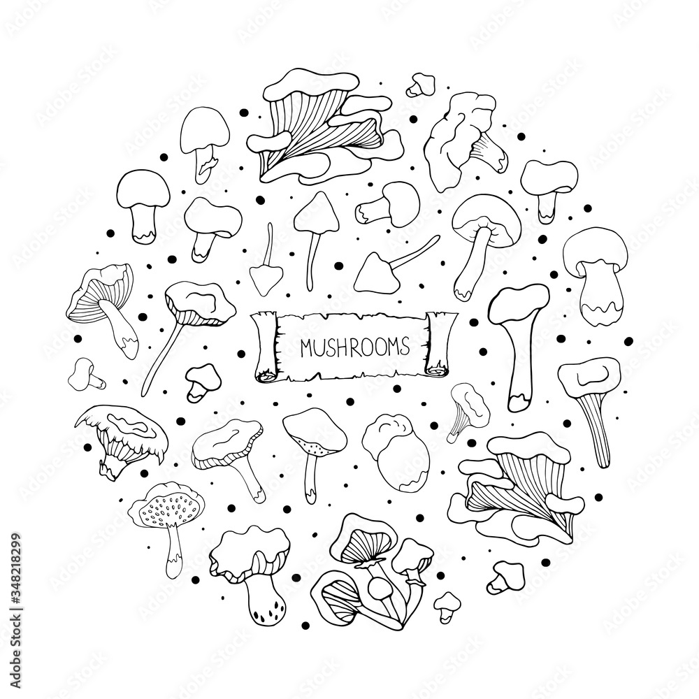 Set with mushrooms. Doodle style. Poster design, printing on fabrics, paper, dishes. Vector isolated illustration with chanterelles, russules, white mushrooms, oyster mushrooms on a white background. 