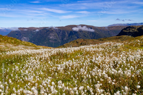 Epic view over a landscape with cottongrass flowing down the bogland.