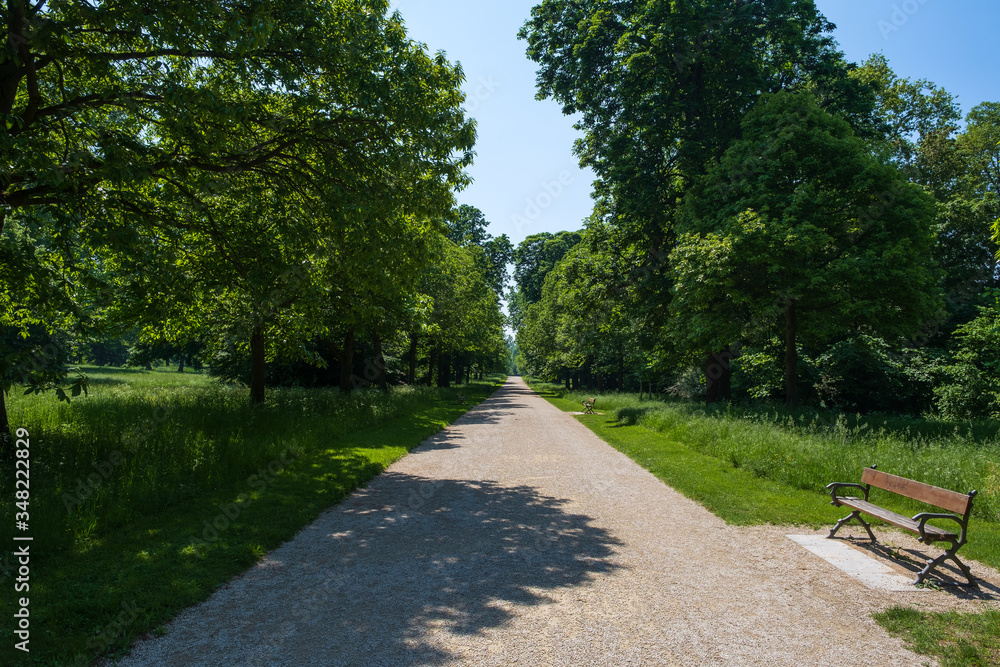 Ein Weg in einem Park in Wiesbaden/Deutchland an einem sonnigen Tag Ein Weg in einem Park in Wiesbaden/Deutchland an einem sonnigen Tag