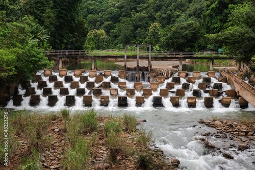Check Dam in the Thai forest