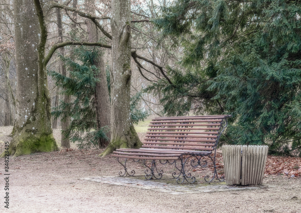autumn park bench among the trees
autumn park bench among the trees