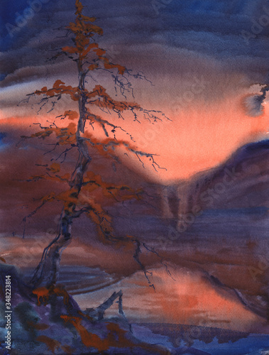 Watercolor sketch: Autumn larch near the water at sunset