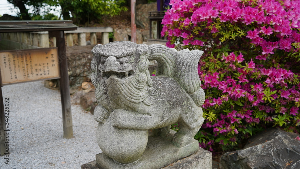 Obraz premium コマイヌ