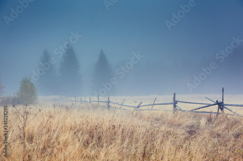 Beautiful moody landscape of the foggy field. Location place Carpathian mountains  Ukraine  Europe.