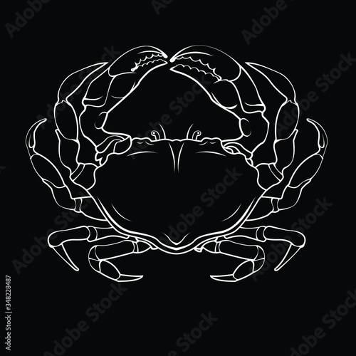 Vector illustration of a crab