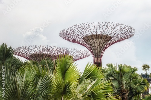 Photography Singapore - Gardens By The Bay (Trees Of Light)