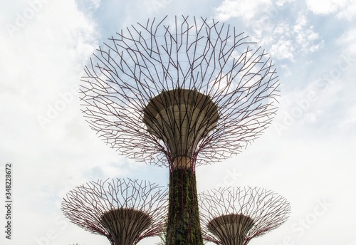 Singapore - Gardens By The Bay (Trees Of Light)