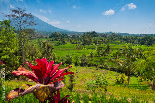 Die Reisterrassen von Jatiluwih auf Bali, Indonesien photo
