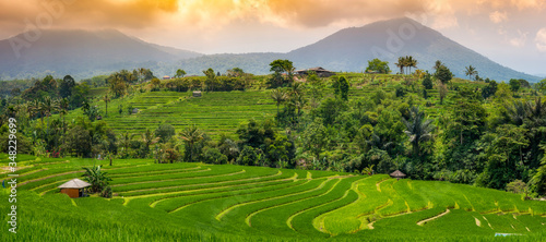 Die Reisterrassen von Jatiluwih auf Bali, Indonesien