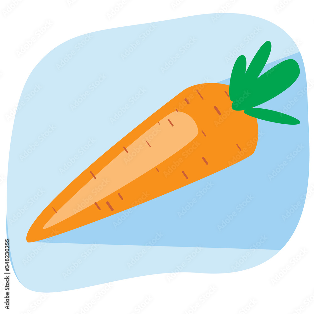 Orange carrot with a shadow as a concept of veganism, flat vector stock illustration with a vegetable as a single simple logo or icon Orange carrot with a shadow as a concept of veganism, flat vector stock illustration with a vegetable as a single simple logo or icon