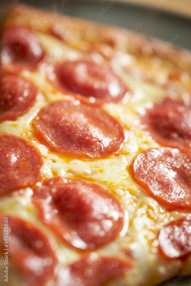 pizza with salami and cheese pizza with salami and cheese