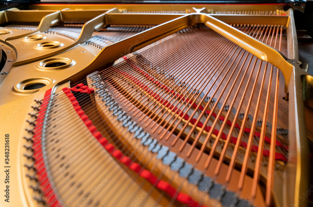 Grand Piano - Strings from the rear Grand Piano - Strings from the rear