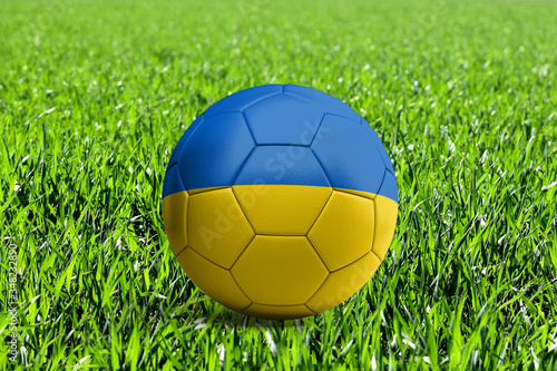 Ukraine Flag on Soccer Ball