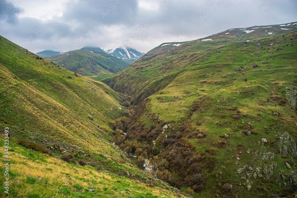 Fototapeta premium nature