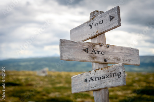 you are amazing text engraved on old wooden signpost outdoors in nature. Quotes, words and illustration concept.