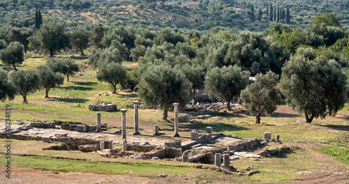 ruins in Ancient city of Messina, Messinia, Peloponnes, Greece. photo