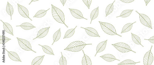Green leaves seamless background on white background. Vector illustration.