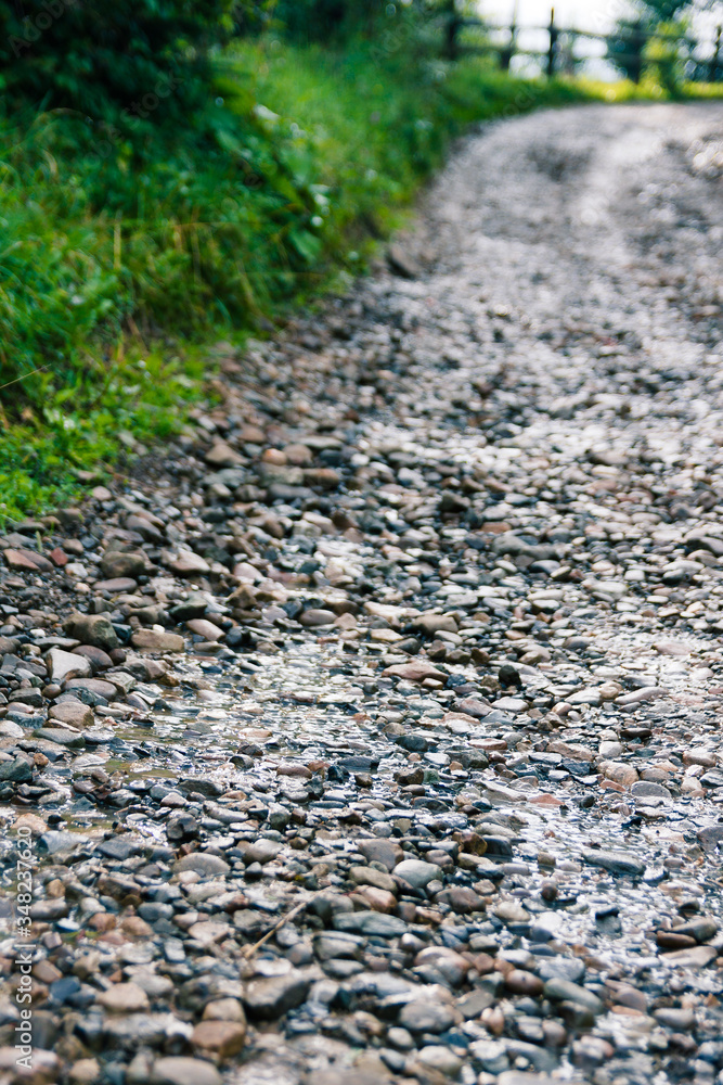Pebble road close up shot from low angle in countryside. Village road with grey wet stone and green tree. Walking around countryside. Sunny day in the summer garden. Unusual foreshortening. Nodoby. Pebble road close up shot from low angle in countryside. Village road with grey wet stone and green tree. Walking around countryside. Sunny day in the summer garden. Unusual foreshortening. Nodoby.