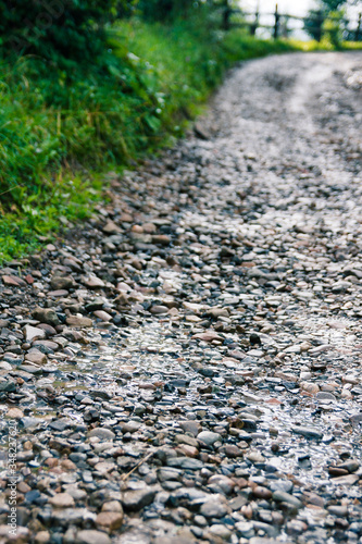 Pebble road close up shot from low angle in countryside. Village road with grey wet stone and green tree.  Walking around countryside. Sunny day in the summer garden. Unusual foreshortening. Nodoby.