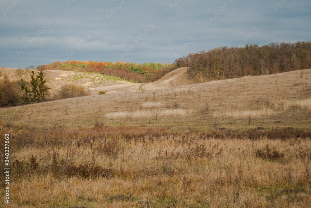 Empty yellow hills in Ukraine