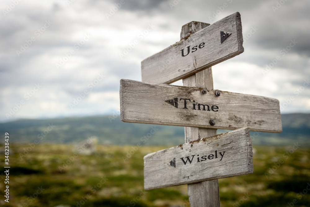 use time wisely text engraved on old wooden signpost outdoors in nature. Quotes, words and illustration concept.