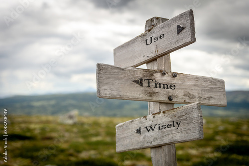 use time wisely text engraved on old wooden signpost outdoors in nature. Quotes, words and illustration concept.