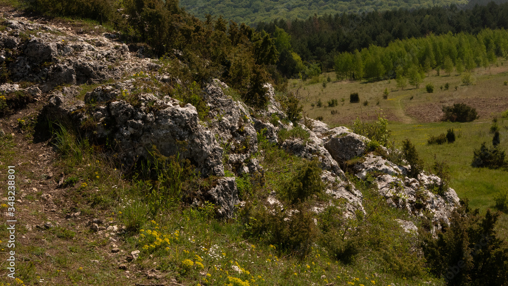 View of the Sokolich Mountains Reserve and rock stones in Olsztyn. A free space for an inscription View of the Sokolich Mountains Reserve and rock stones in Olsztyn. A free space for an inscription