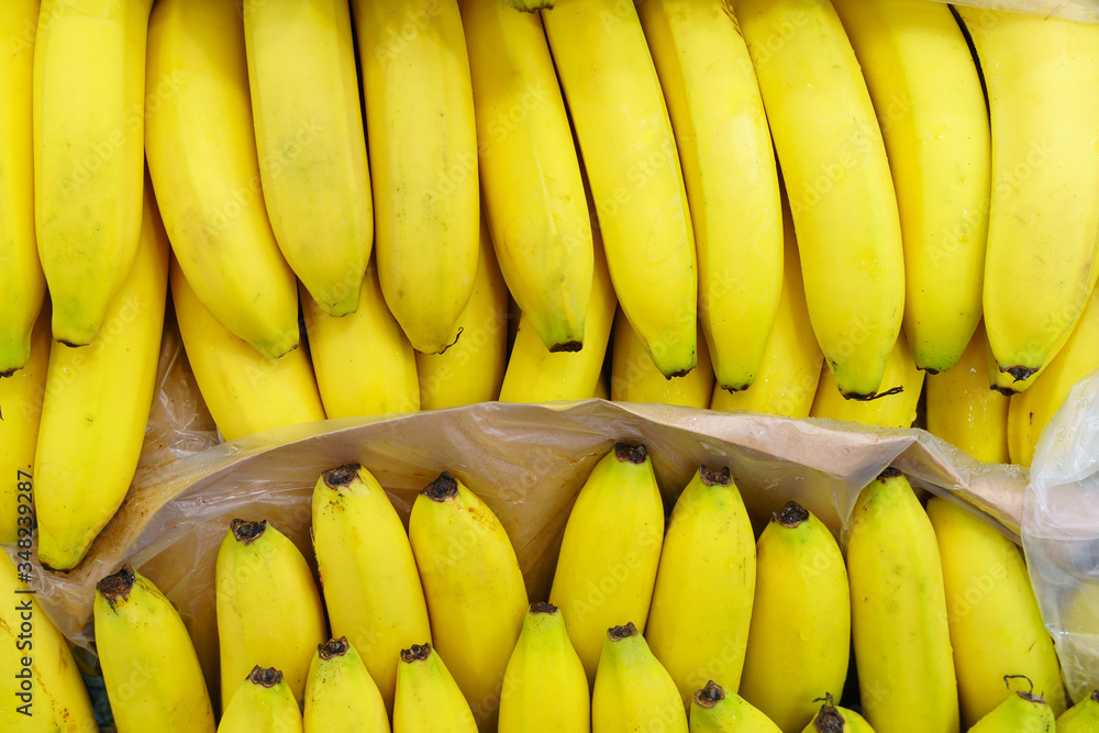 ripe yellow bananas close-up in a store laid out in rows in close-up