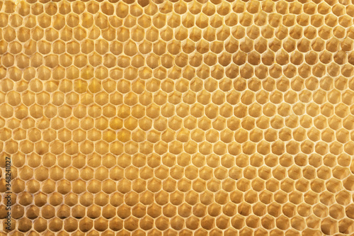 yellow beecomb background with empty cells with hexagon shapes, apiculture concept