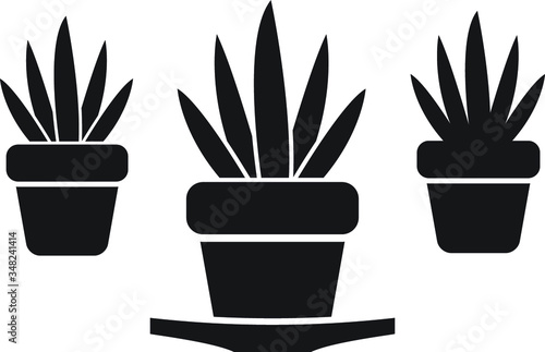 Plant in pot  flower  exotic houseplant vector icon. gardening icon