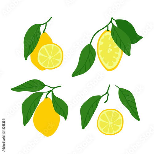 Set of lemon and slices. Hand drawn vector citrus and leaves
