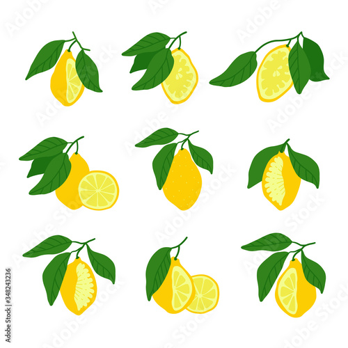 Fototapeta Naklejka Na Ścianę i Meble -  Citrus slices. yellow lemons. Set of hand drawn vector designs.