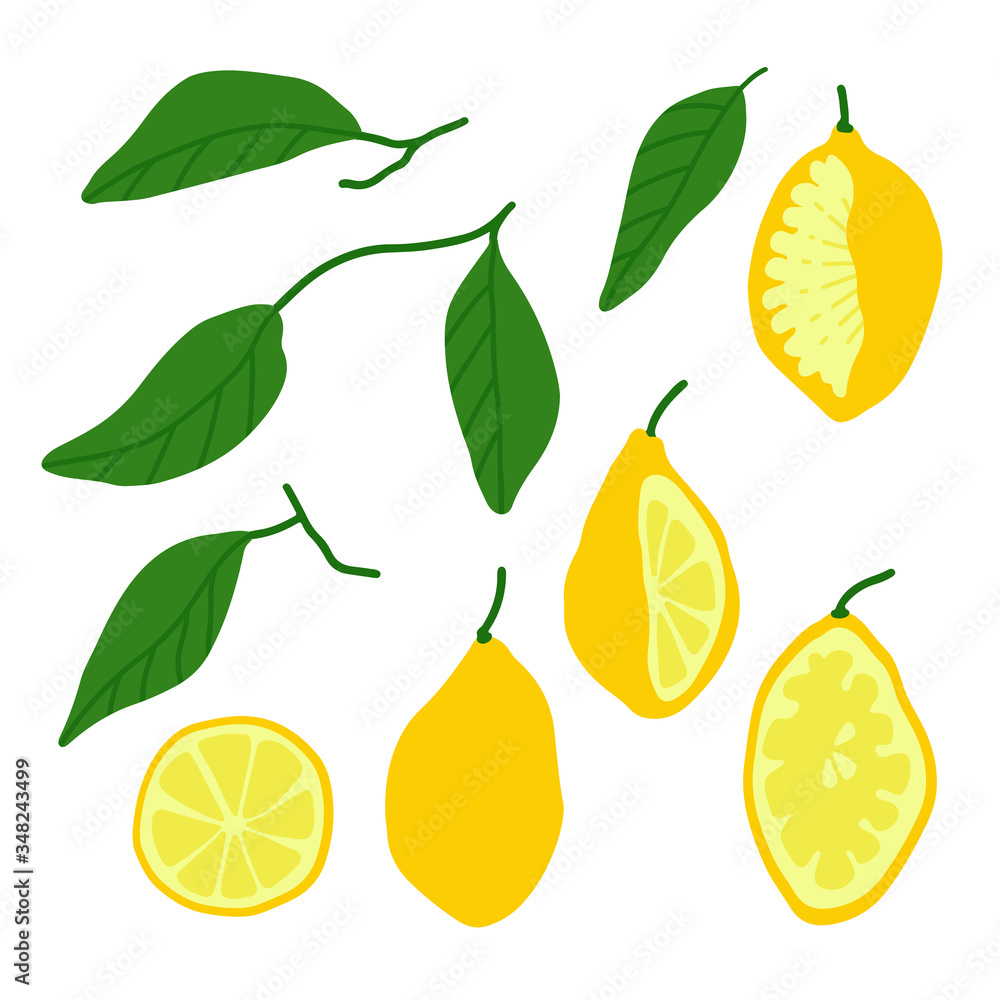 Obraz premium Hand drawn citrus elements. Set of lemon slices, branch and leaves.