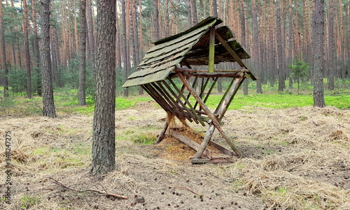 feeder for wild animals in the forest