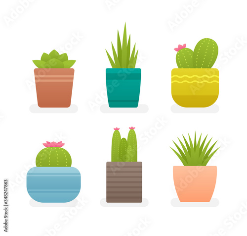 Small potted plants isolated on white. Set of mini potted plants. Vector Illustration.