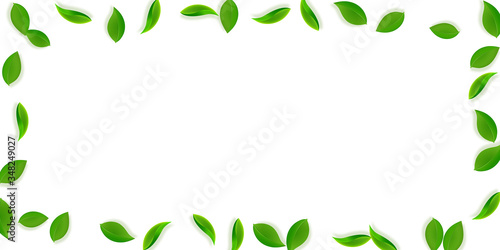 Falling green leaves. Fresh tea neat leaves flying