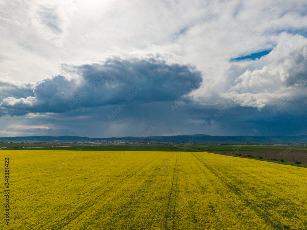 Obraz premium Yellow fields under a stormy sky 